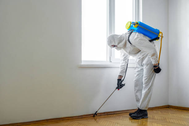 Best Residential Pest Control  in Danvers, IL